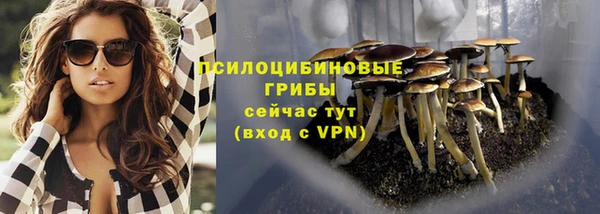ALPHA-PVP Бородино