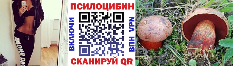Псилоцибиновые грибы ЛСД  это телеграм  Ковдор 